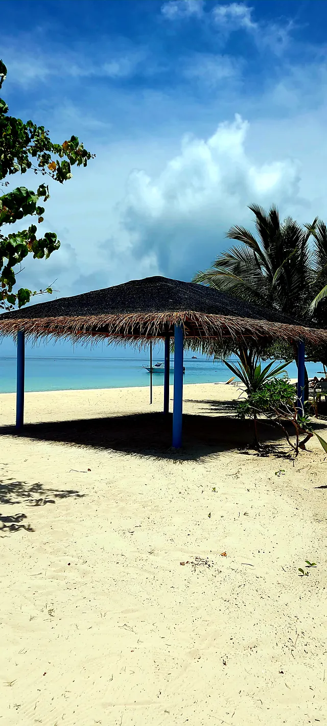 Bikini Beach
